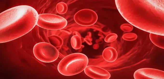 كيف يتم علاج فقر الدم؟