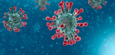 فيروس كورونا الجديد: نصائح لمعالجة القلق